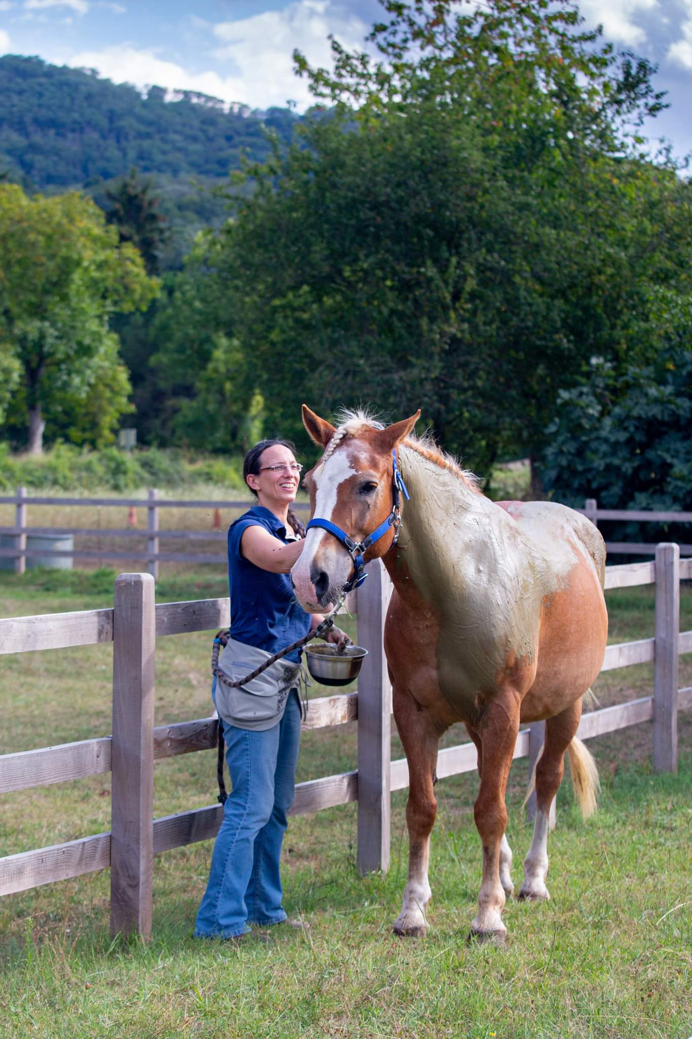 Carine Delbaere - masseuse équin, canin et humains