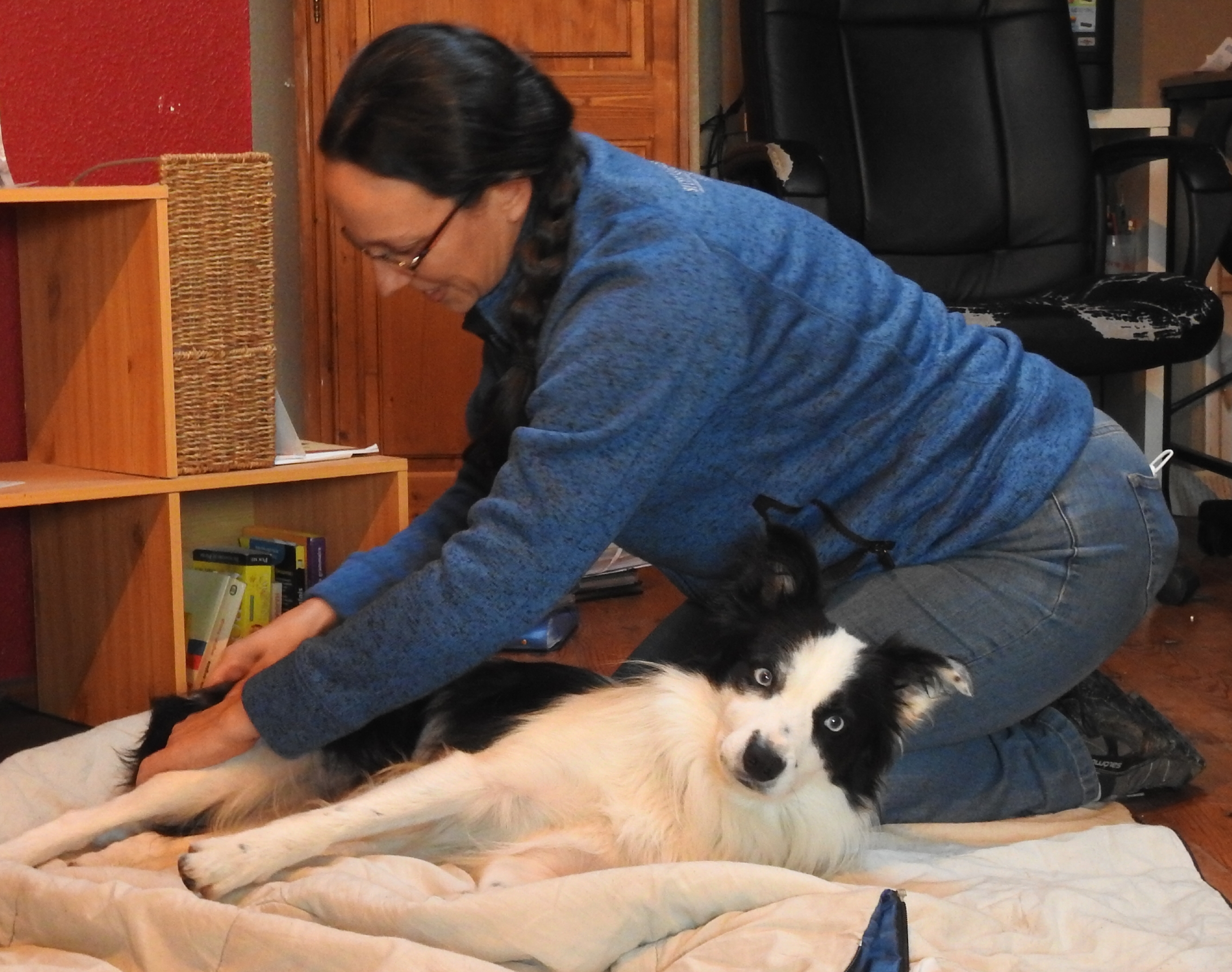 Carine Delbaere - masseuse équin, canin et humains