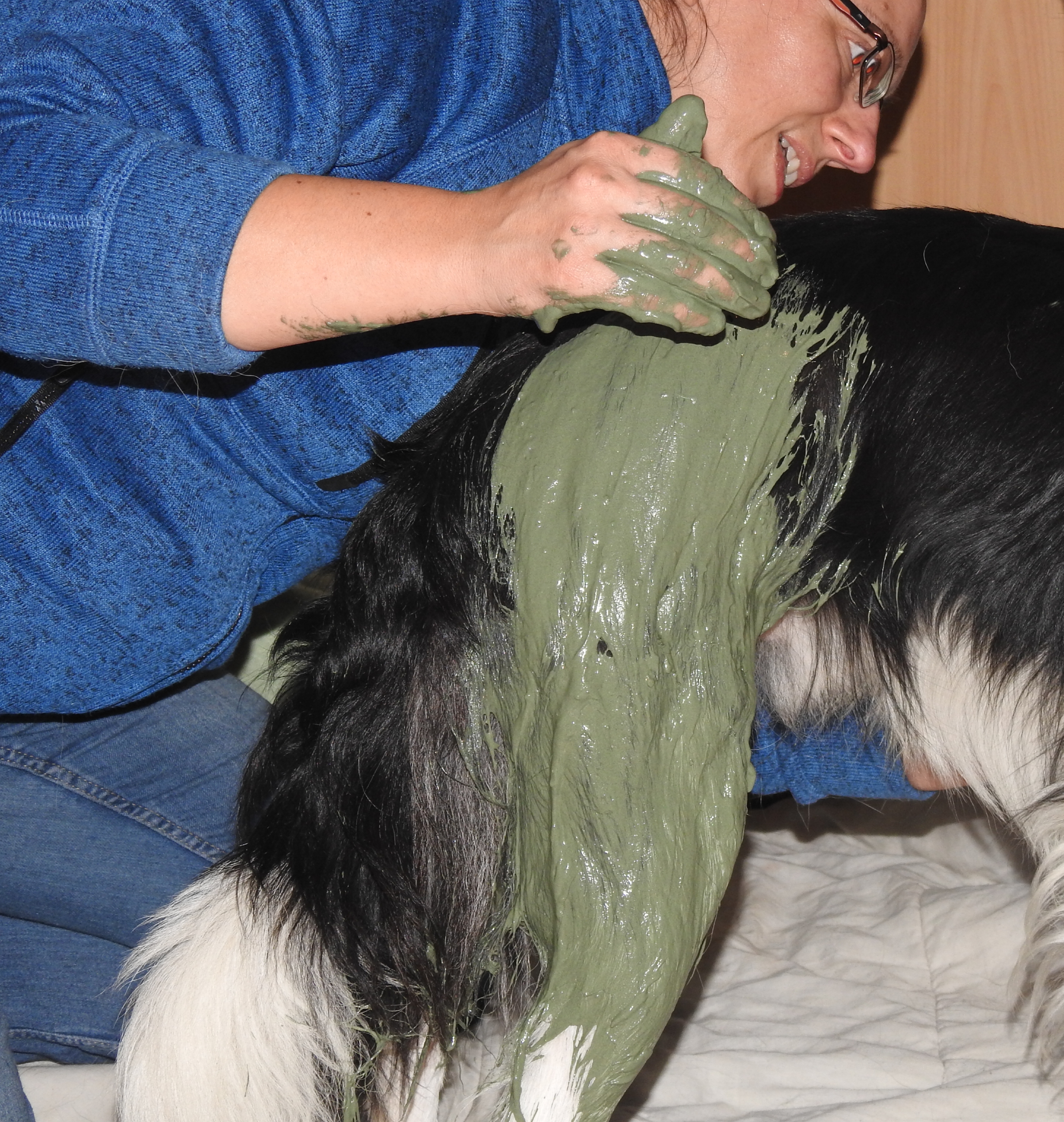 Carine Delbaere - masseuse équin, canin et humains