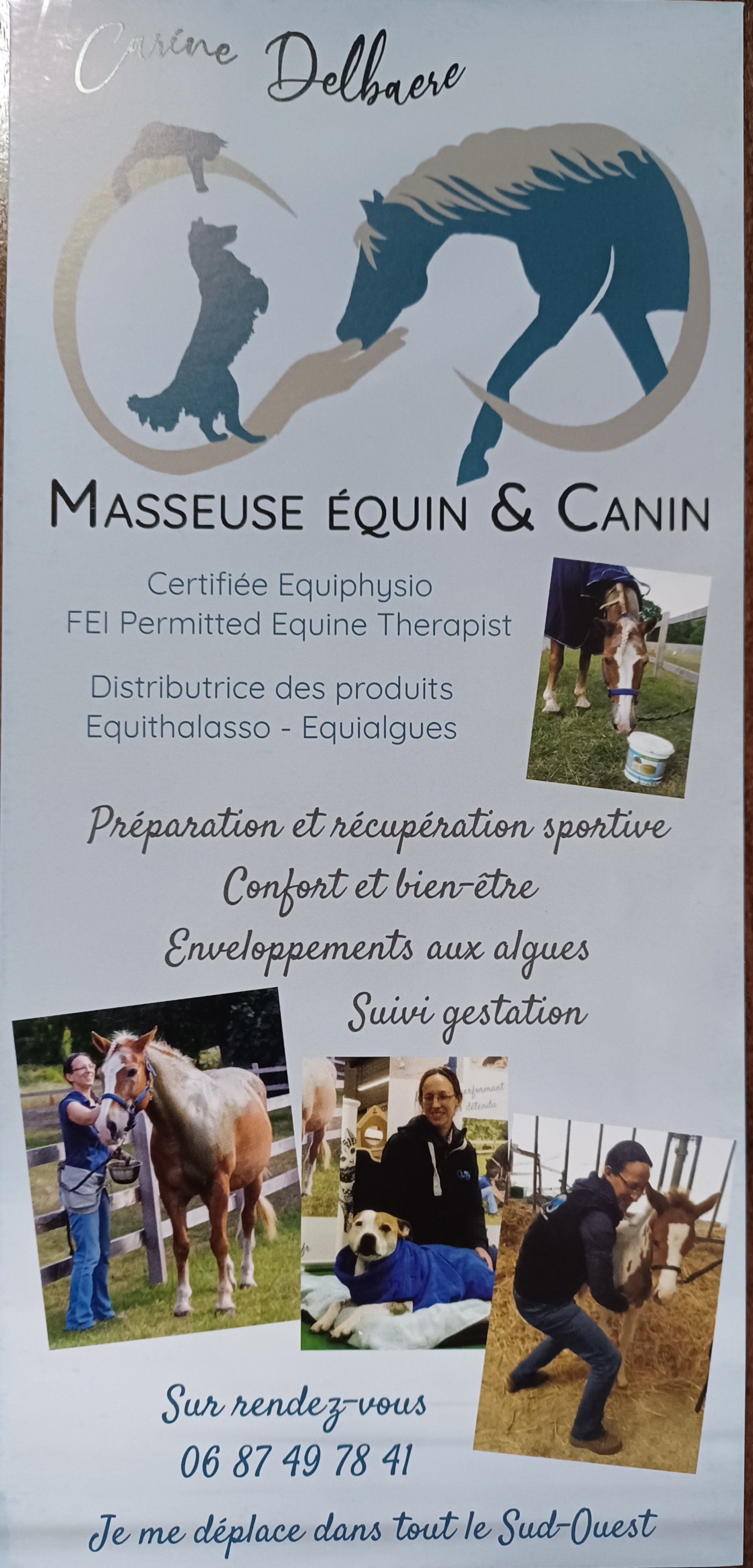  Carine Delbaere - masseuse équin, canin et humains